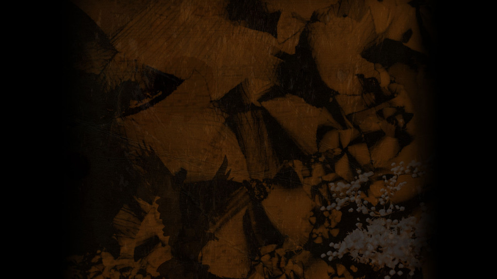 web-bg10.jpg