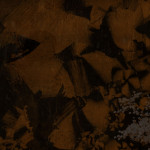 web-bg10.jpg