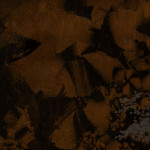 web-bg9.jpg